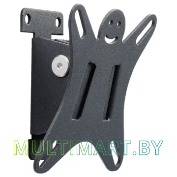 Кронштейн Holder LCDS-5002